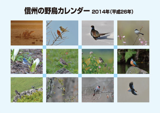 �M�B�̖쒹�J�����_�[2014